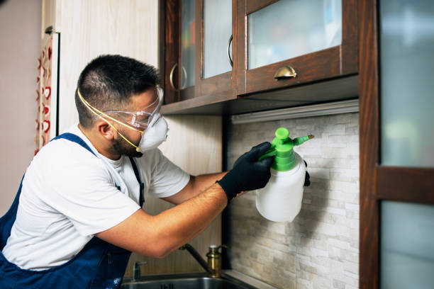 Best Cockroach Control Services  in San Dimas, CA