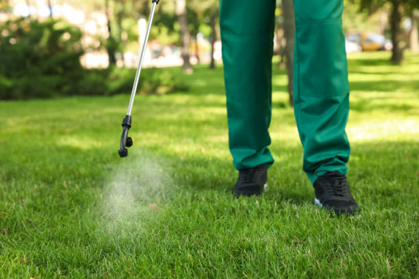 Best Pest Removal Services  in San Dimas, CA